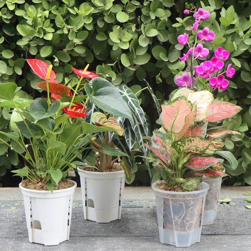Self Watering Pot Bottom Watering Pot Orchid Pot Flower Pots for Plants Pot Garden Lazy Pot Orchid Breathable Root Pot