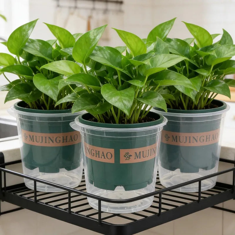 Automatic Water Absorbing Lazy Person Flower Pots Fern Breathable Water Easy Fill Root Protection Home Windowsill Green Plants