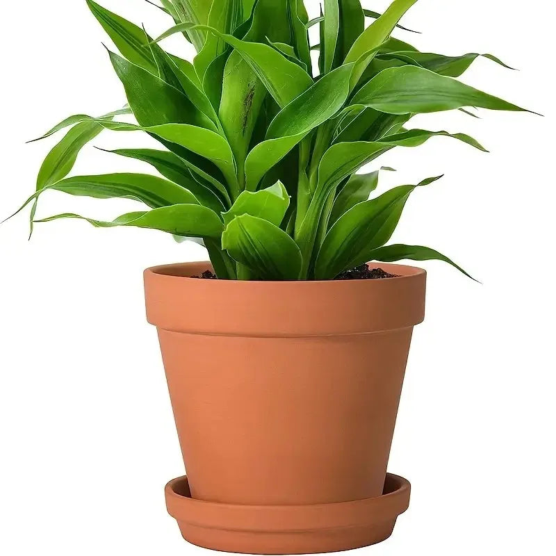 4pcs Terracotta Pots 4 Inch (4 Pack), Clay Pots for Plants with Drainage Hole and Saucer, Flower Pot with Tray, Large Terracotta