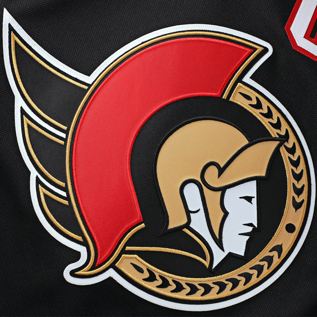Customizable Ottawa Senators 2024 Fanatics Premium Official NHL HOME Jersey